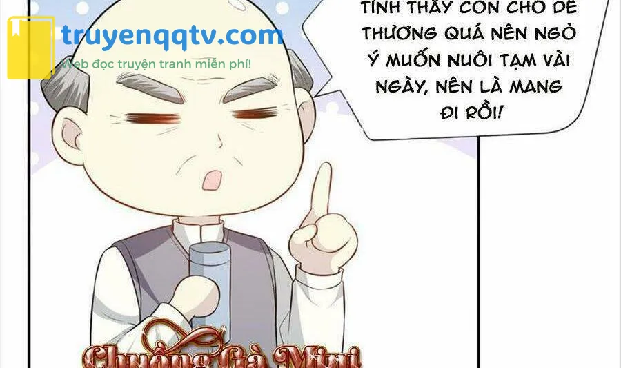 khiêu khích xuyên biên giới Chapter 113 - Next Chap 113+114