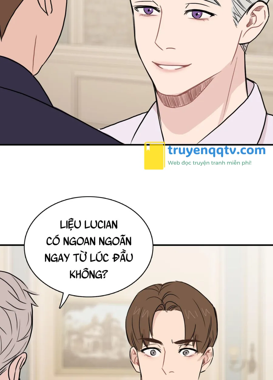 lồng chim Chapter 15 - Next Chapter 16