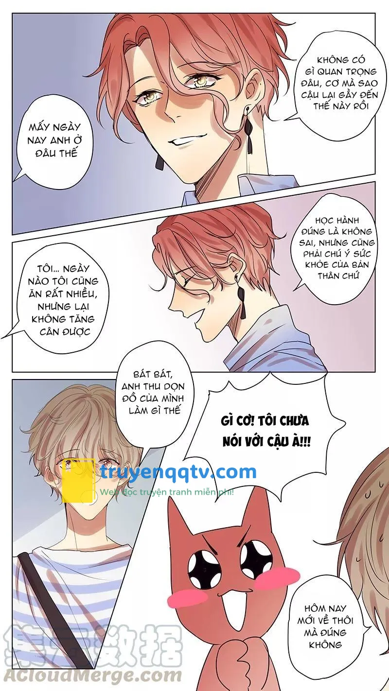 ghét cậu thích cậu Chapter 55 - Next 56