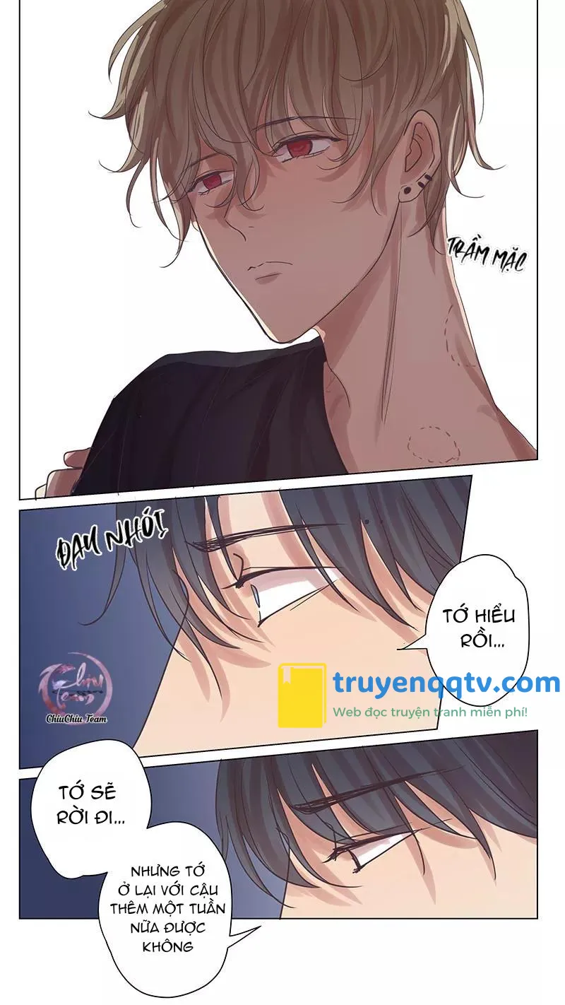 ghét cậu thích cậu Chapter 53 - Next 54