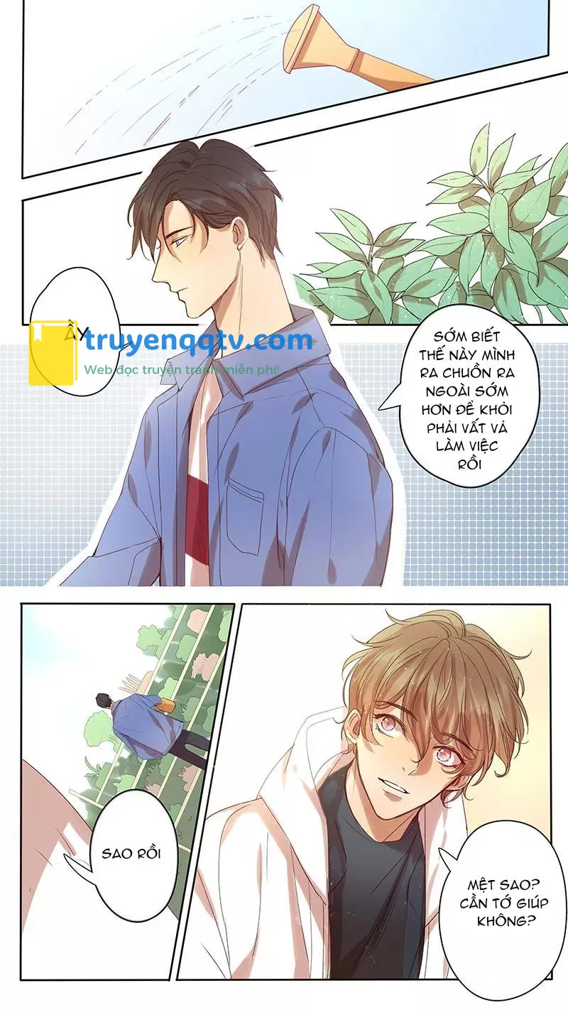 ghét cậu thích cậu Chapter 44 - Next 44