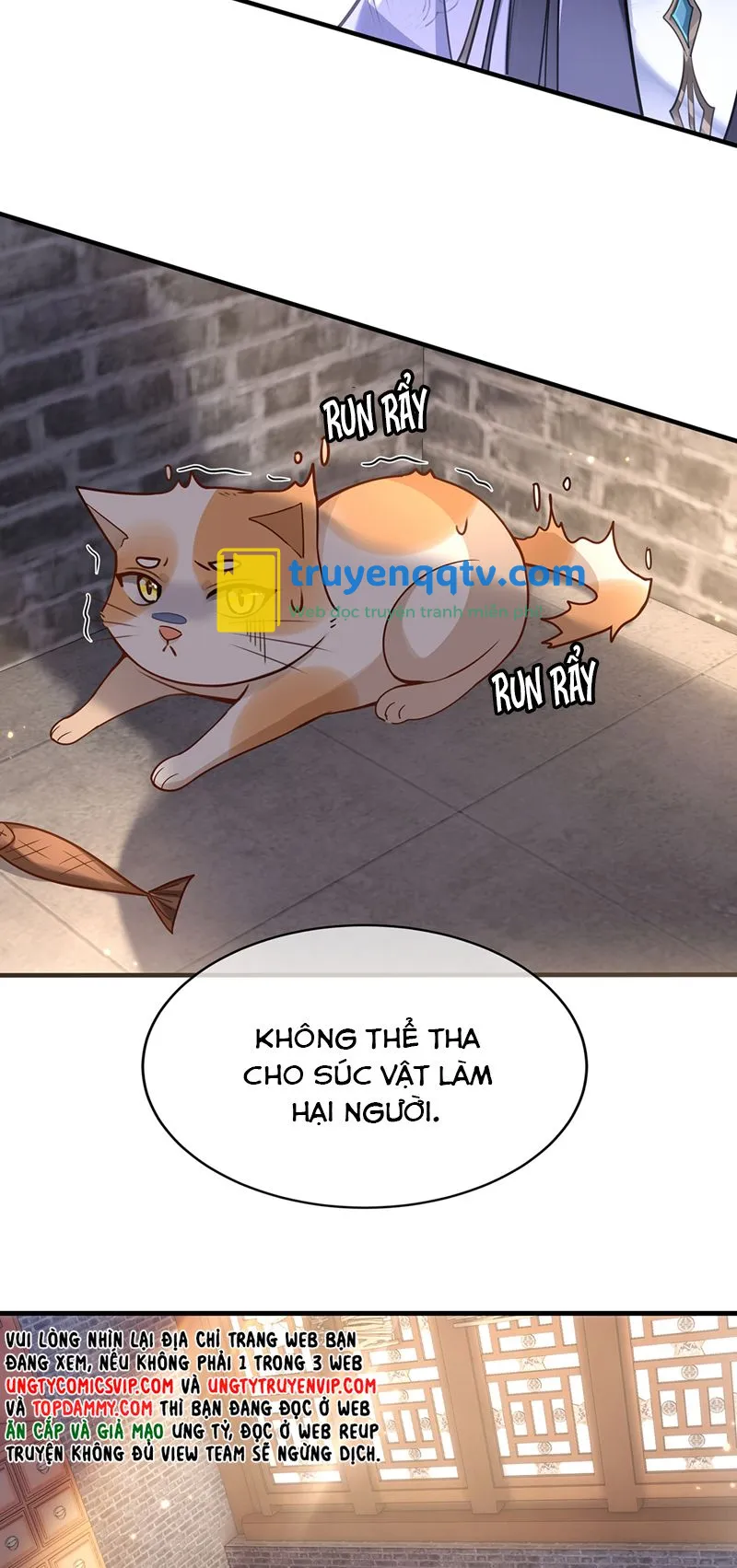 Điện Hạ Khuynh Thành Chapter 72 - Next Chapter 73