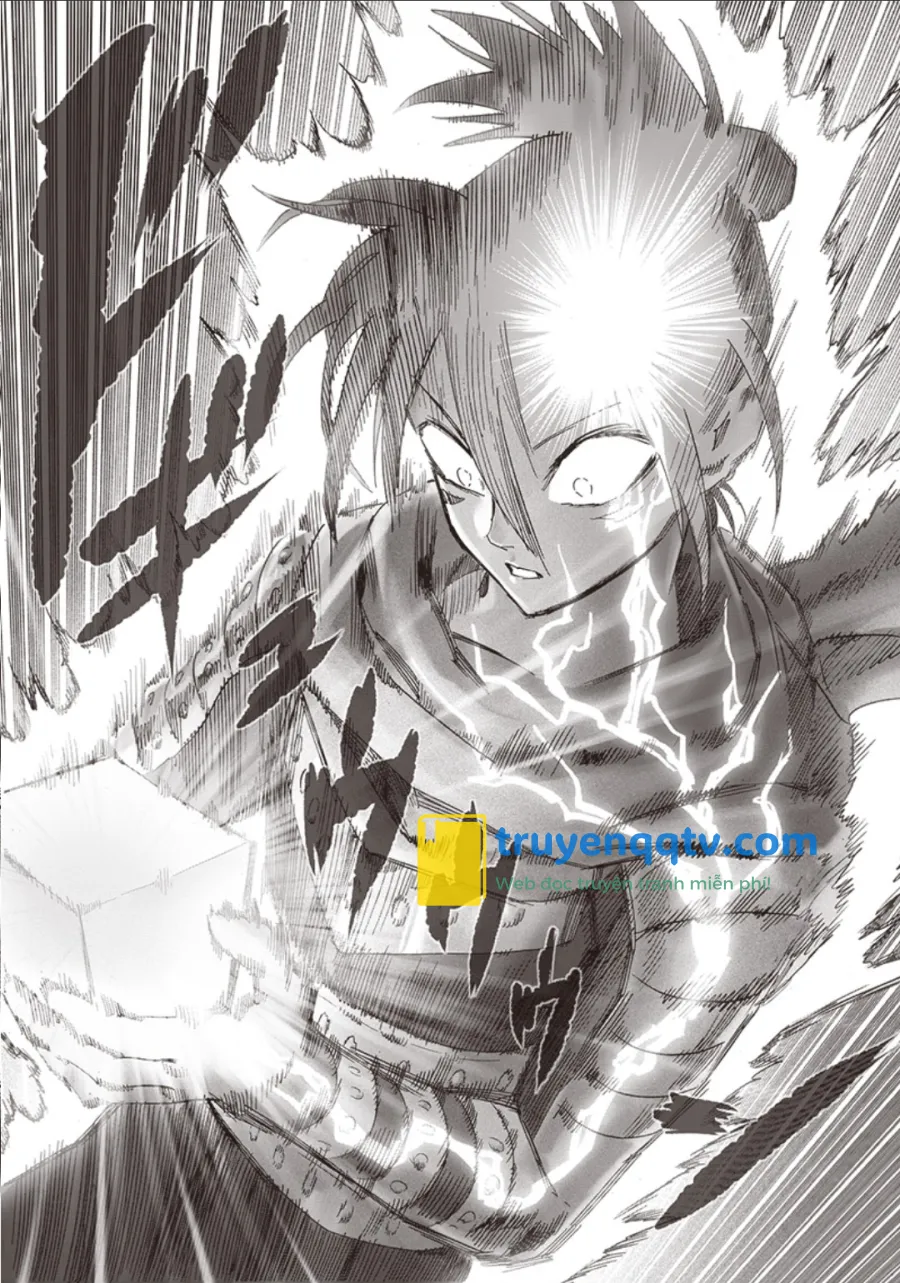 One-Punch Man Chapter 245 - Next Chapter 246