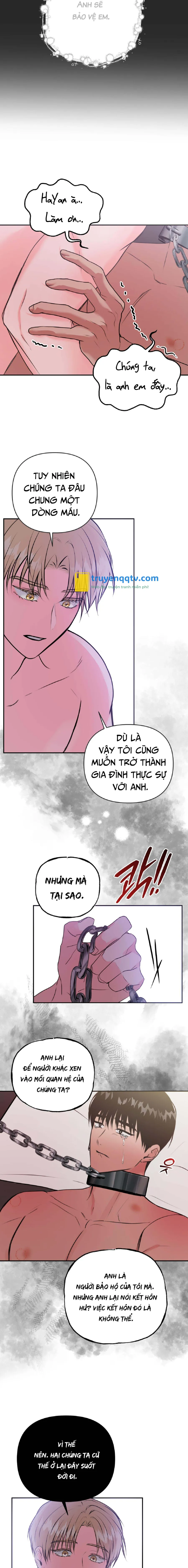 Bức Tranh Ảo Ảnh Chapter 3 - Next 