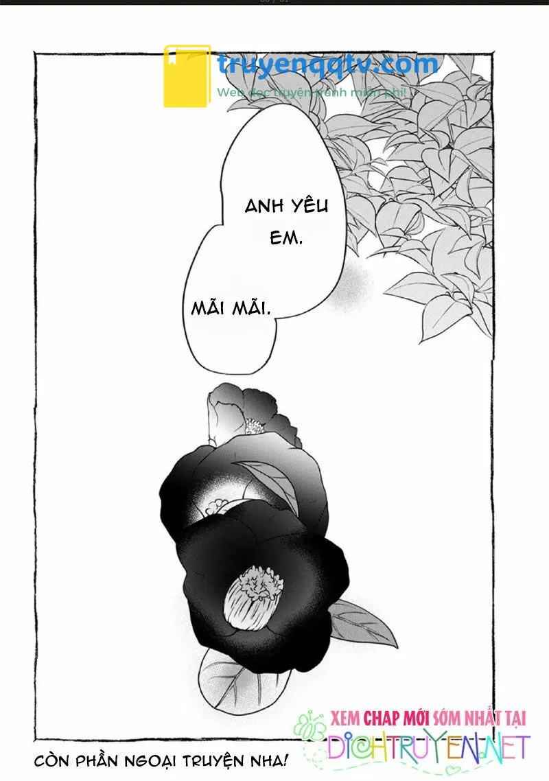 Hoa Trà Đỏ Chapter 3 - Next Chapter 3.5