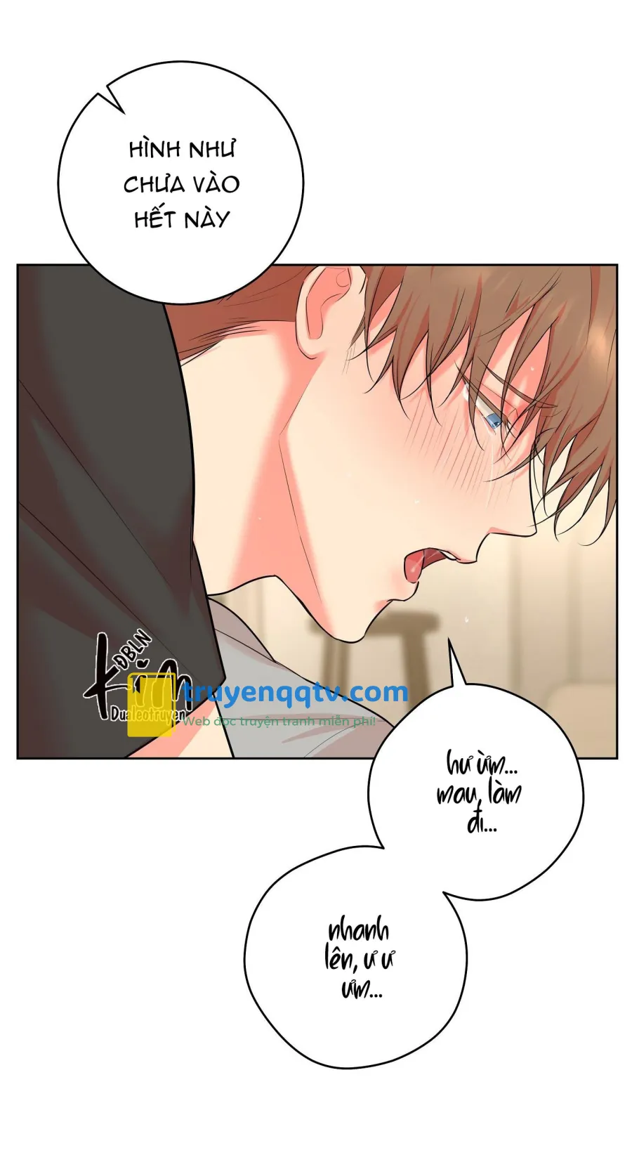 camboy bunny Chapter 17 - Next 17