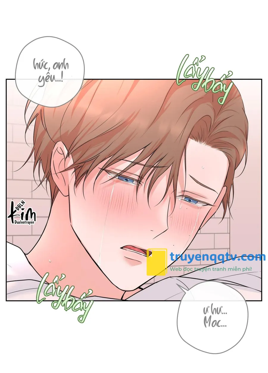 camboy bunny Chapter 15 H - Next 15