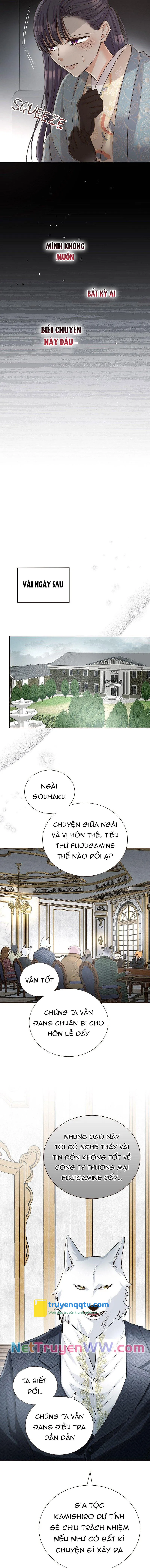 Cô dâu của sói trắng Chapter 31 - Next Chapter 32