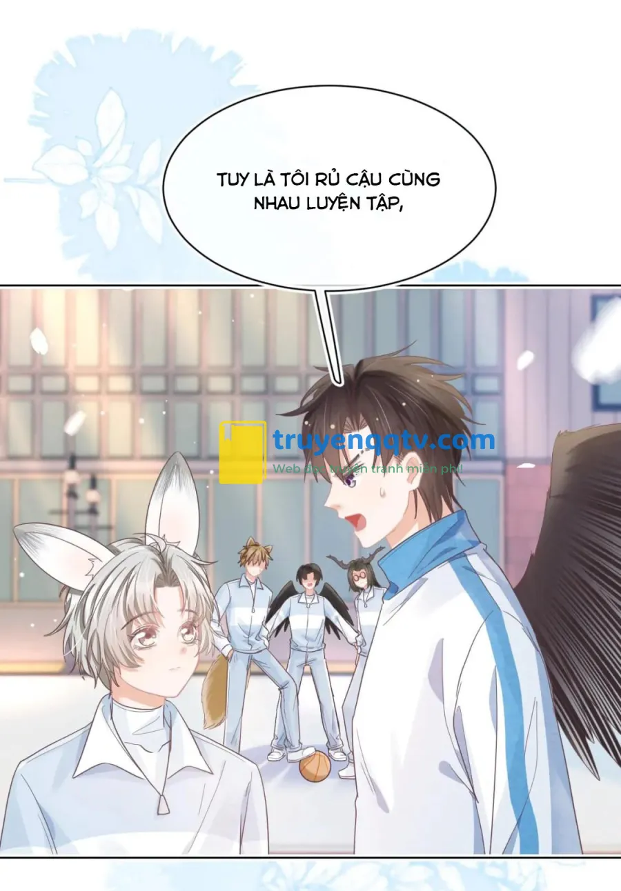 Ss2 Một ngụm ăn cả thỏ con Chapter 18 - Next Chapter 19