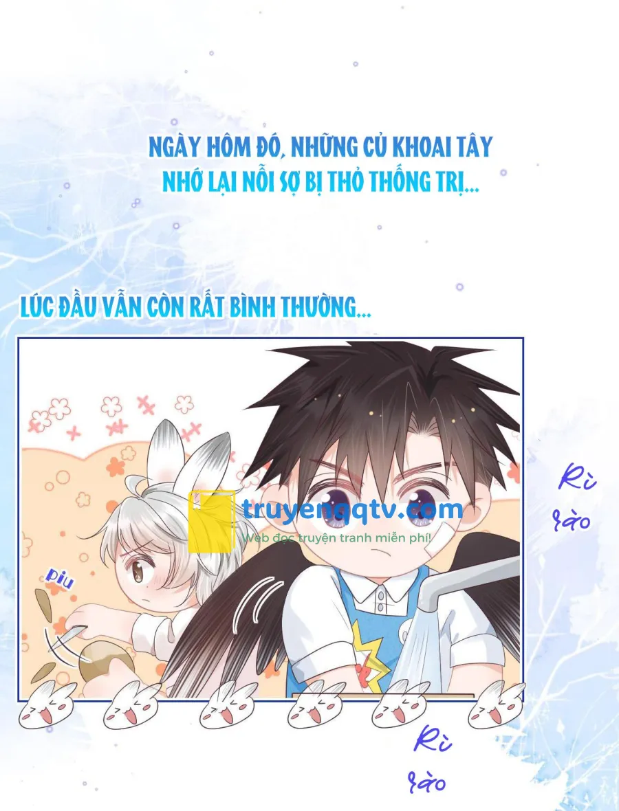 Ss2 Một ngụm ăn cả thỏ con Chapter 11 - Next Chapter 12