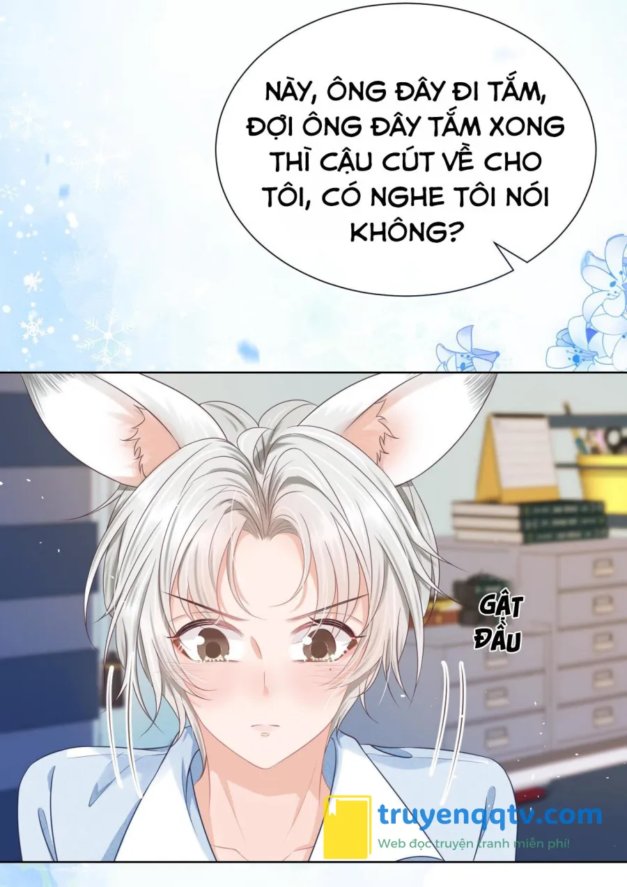 Ss2 Một ngụm ăn cả thỏ con Chapter 4 - Next Chapter 5