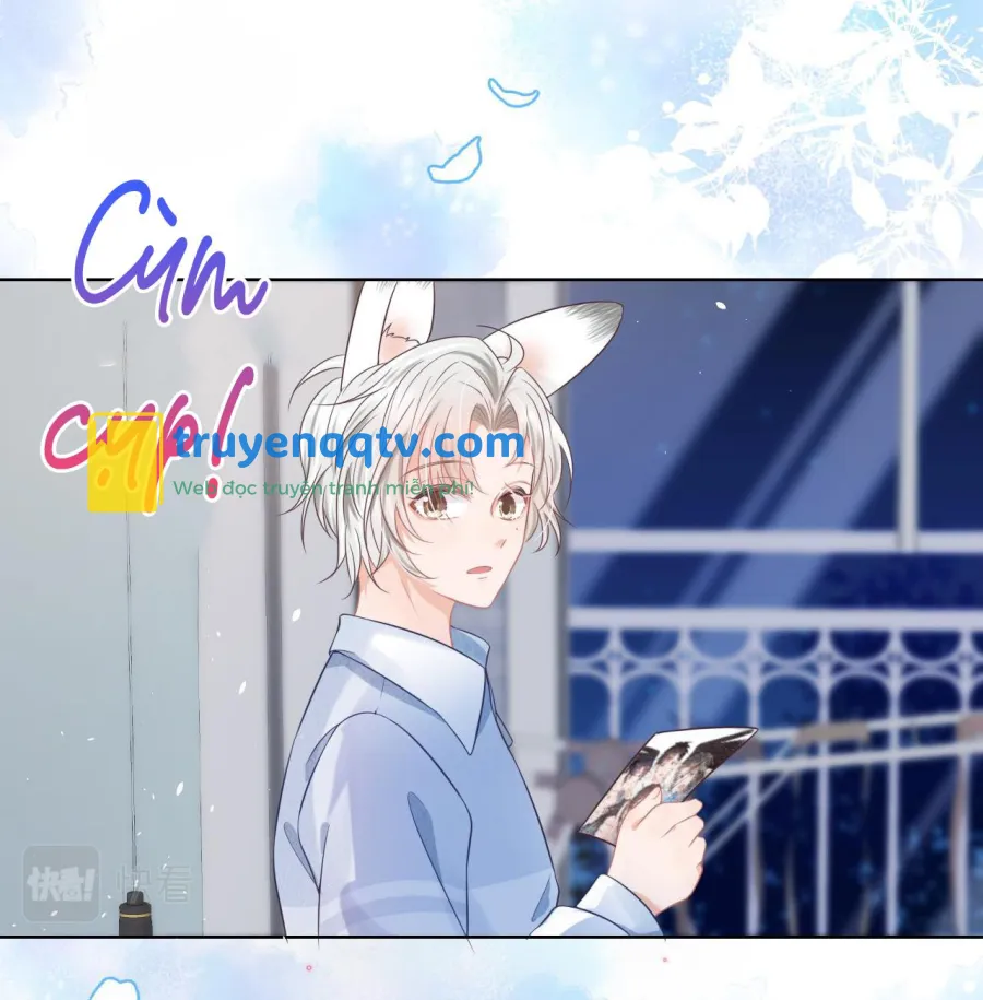 Ss2 Một ngụm ăn cả thỏ con Chapter 4 - Next Chapter 5