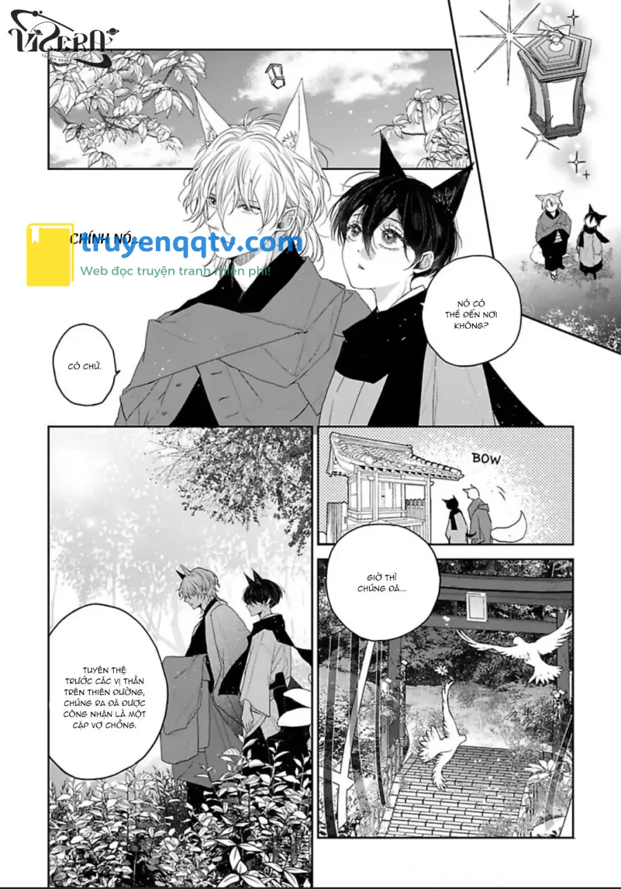 Chú Cáo Của Tôi Chapter 5 - Next 