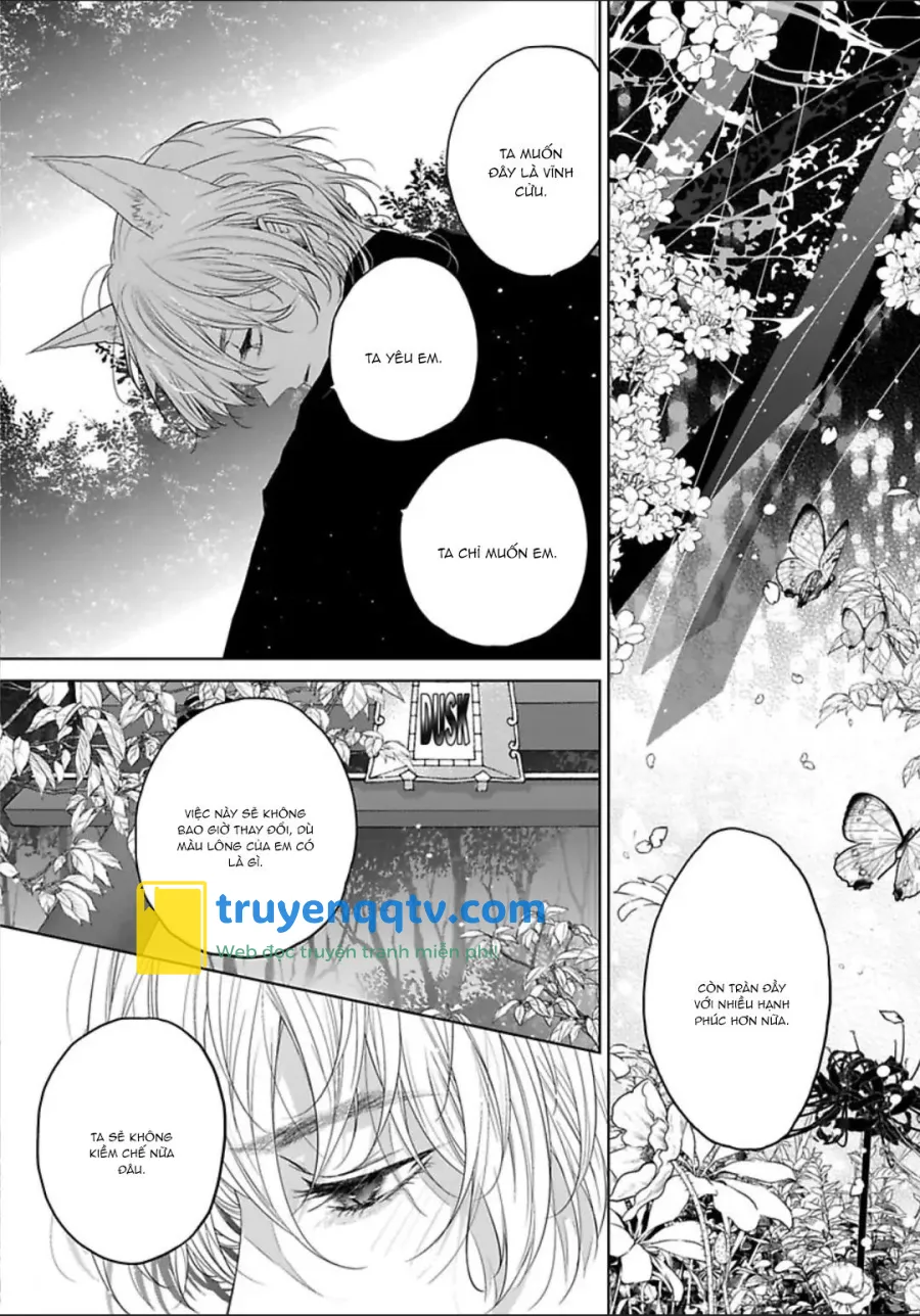 Chú Cáo Của Tôi Chapter 5 - Next 