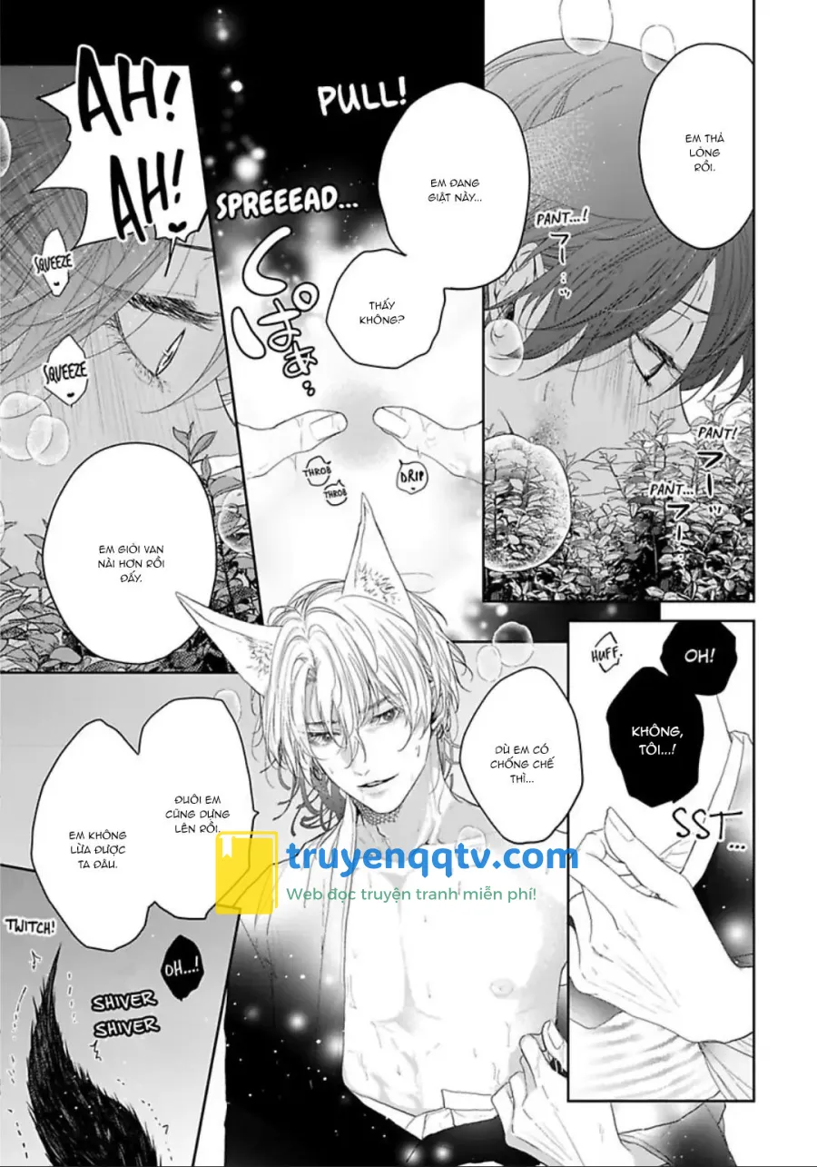 Chú Cáo Của Tôi Chapter 5 - Next 