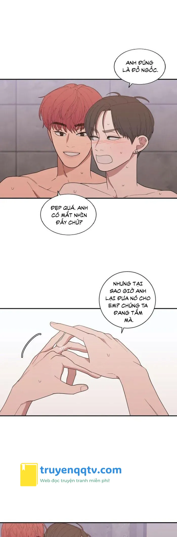 Tình Yêu Hay Thù Hận Chapter 105 - Next Chapter 106 END