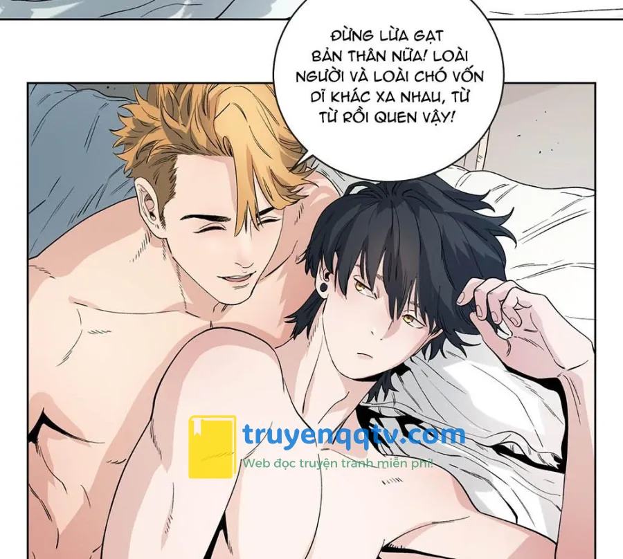 Cao Trường và Đại Hoàng Chapter 42 - Next Chapter 43 END