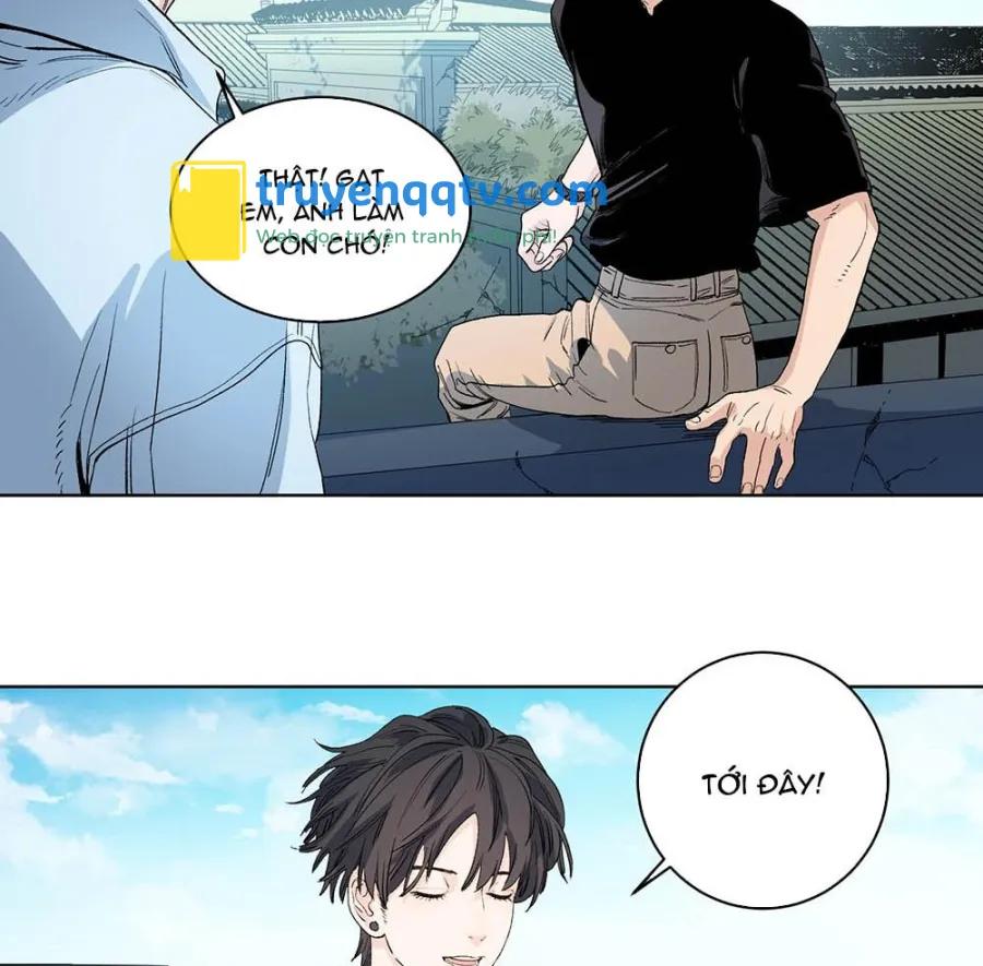 Cao Trường và Đại Hoàng Chapter 39 - Next Chapter 40