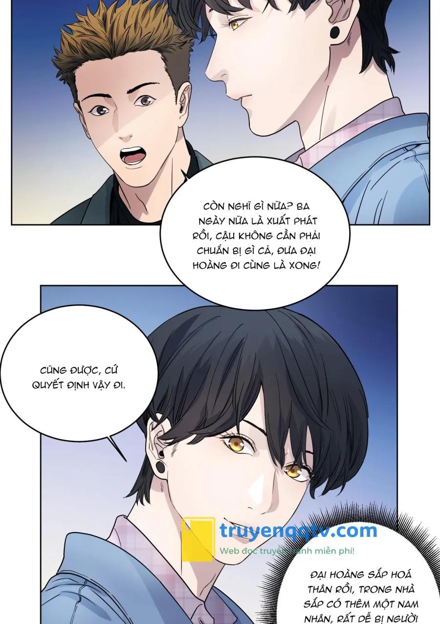 Cao Trường và Đại Hoàng Chapter 17 - Next Chapter 18