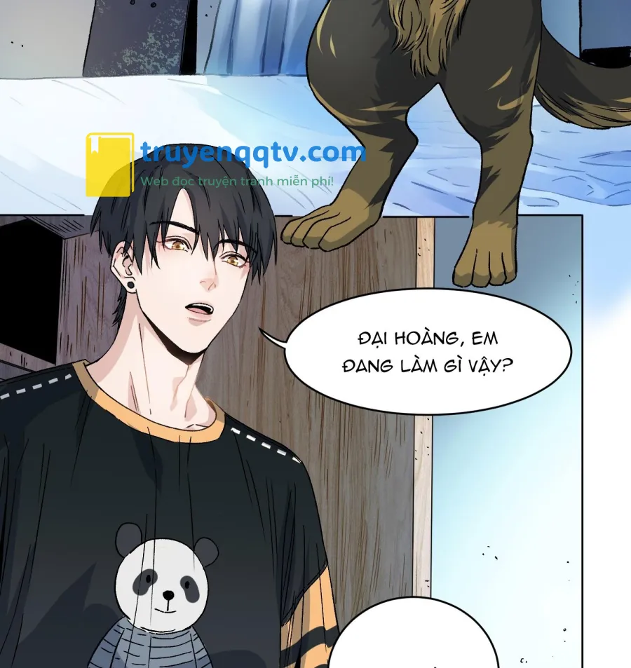 Cao Trường và Đại Hoàng Chapter 10 - Next Chapter 11