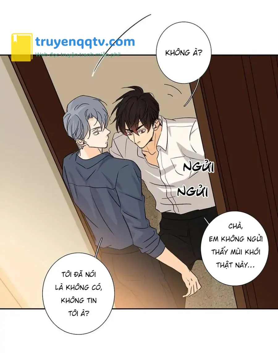 Đừng Chạm Vào Tim Tôi Chapter 44 - Next Chapter 45