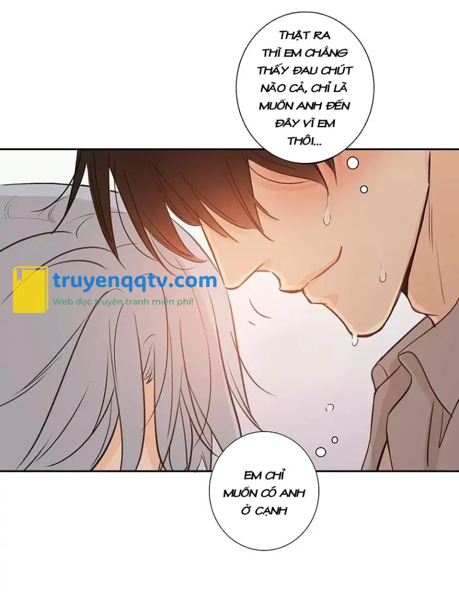 Đừng Chạm Vào Tim Tôi Chapter 42 - Next Chapter 43