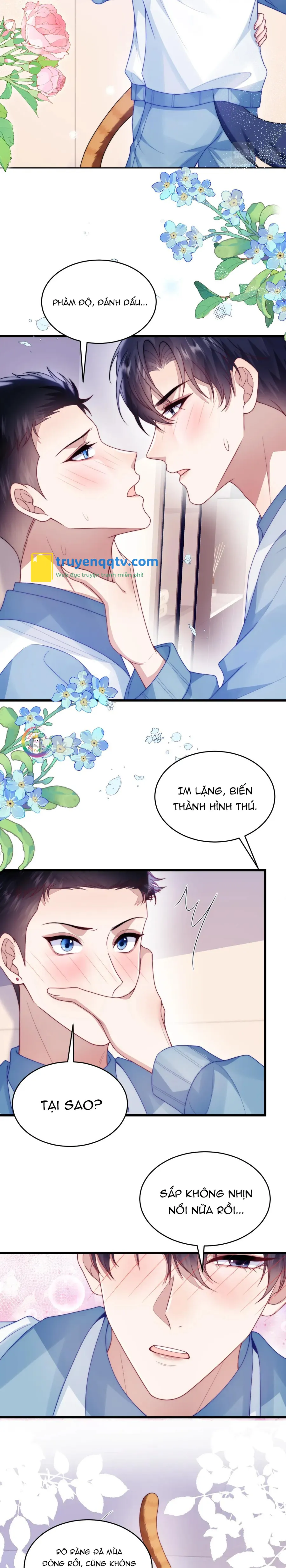 Mèo Hoang Nhỏ Của Học Bá Quá Trêu Người (END) Chapter 77 - Next Chapter 78