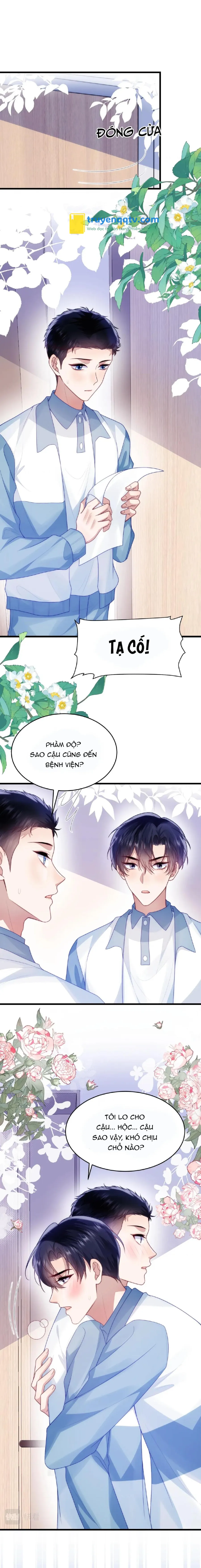 Mèo Hoang Nhỏ Của Học Bá Quá Trêu Người (END) Chapter 67 - Next Chapter 68