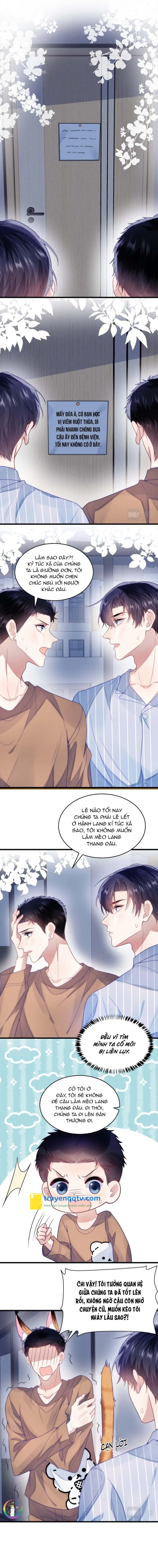 Mèo Hoang Nhỏ Của Học Bá Quá Trêu Người (END) Chapter 18 - Next Chapter 19