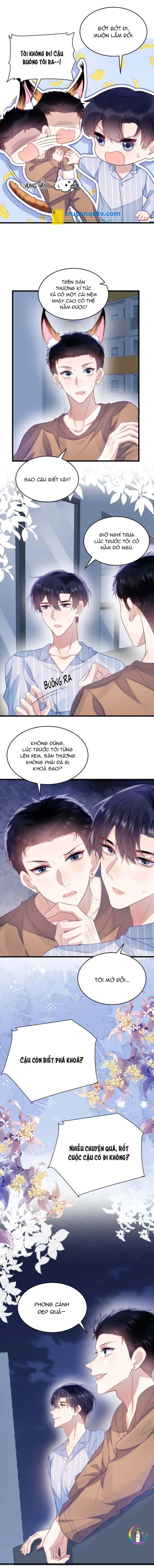 Mèo Hoang Nhỏ Của Học Bá Quá Trêu Người (END) Chapter 18 - Next Chapter 19