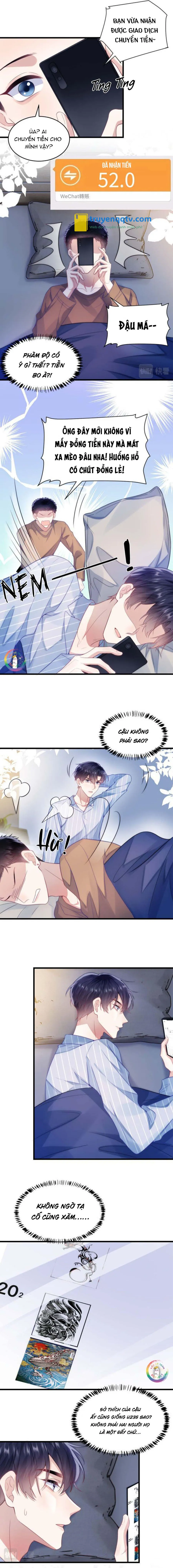 Mèo Hoang Nhỏ Của Học Bá Quá Trêu Người (END) Chapter 17 - Next Chapter 18