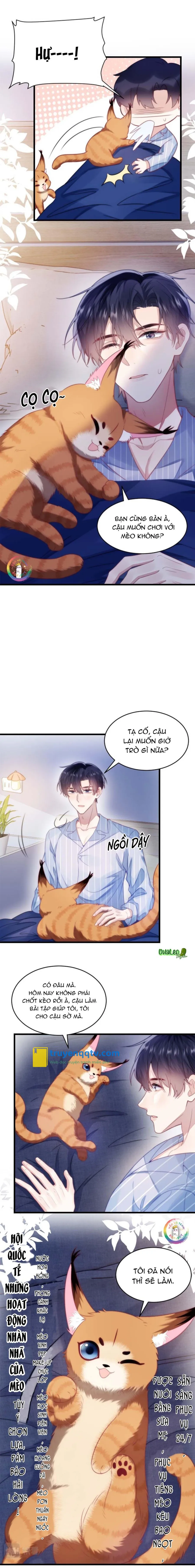 Mèo Hoang Nhỏ Của Học Bá Quá Trêu Người (END) Chapter 16 - Next Chapter 17