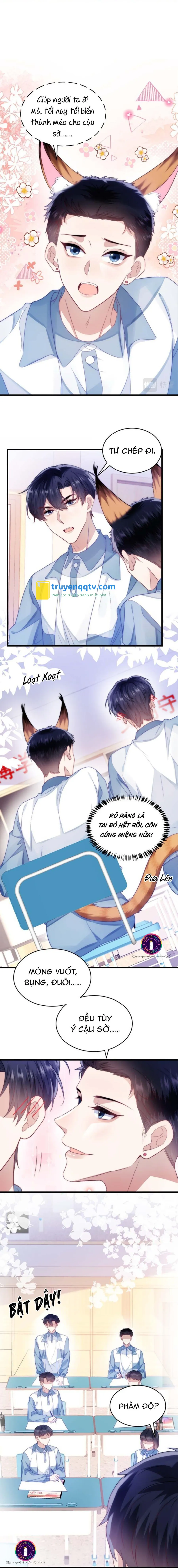 Mèo Hoang Nhỏ Của Học Bá Quá Trêu Người (END) Chapter 14 - Next Chapter 15