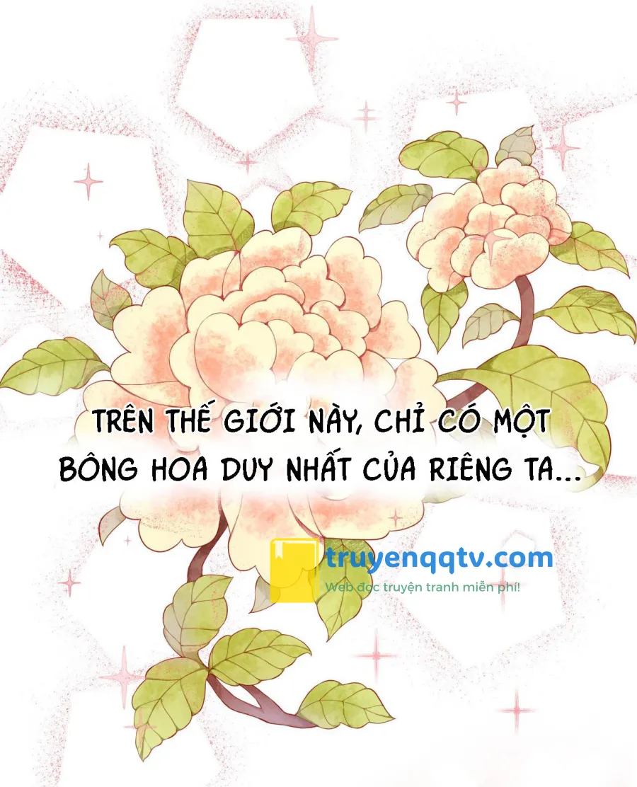 TÌNH YÊU LẠC LỐI Chapter 2 - Next 