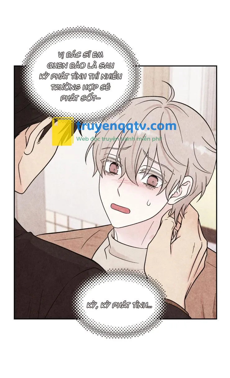 Muốn kết hôn với em ngay lần đầu gặp mặt Chapter 7 - Next Chapter 8