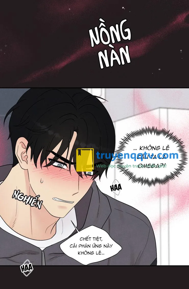 Muốn kết hôn với em ngay lần đầu gặp mặt Chapter 4 - Next Chapter 5