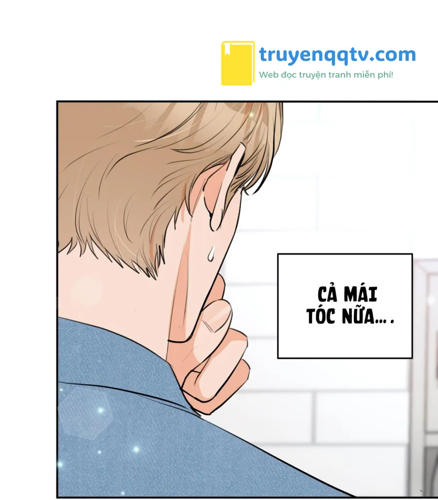 CHUYỆN TÌNH MÙA THU Chapter 1 - Next Chapter 2