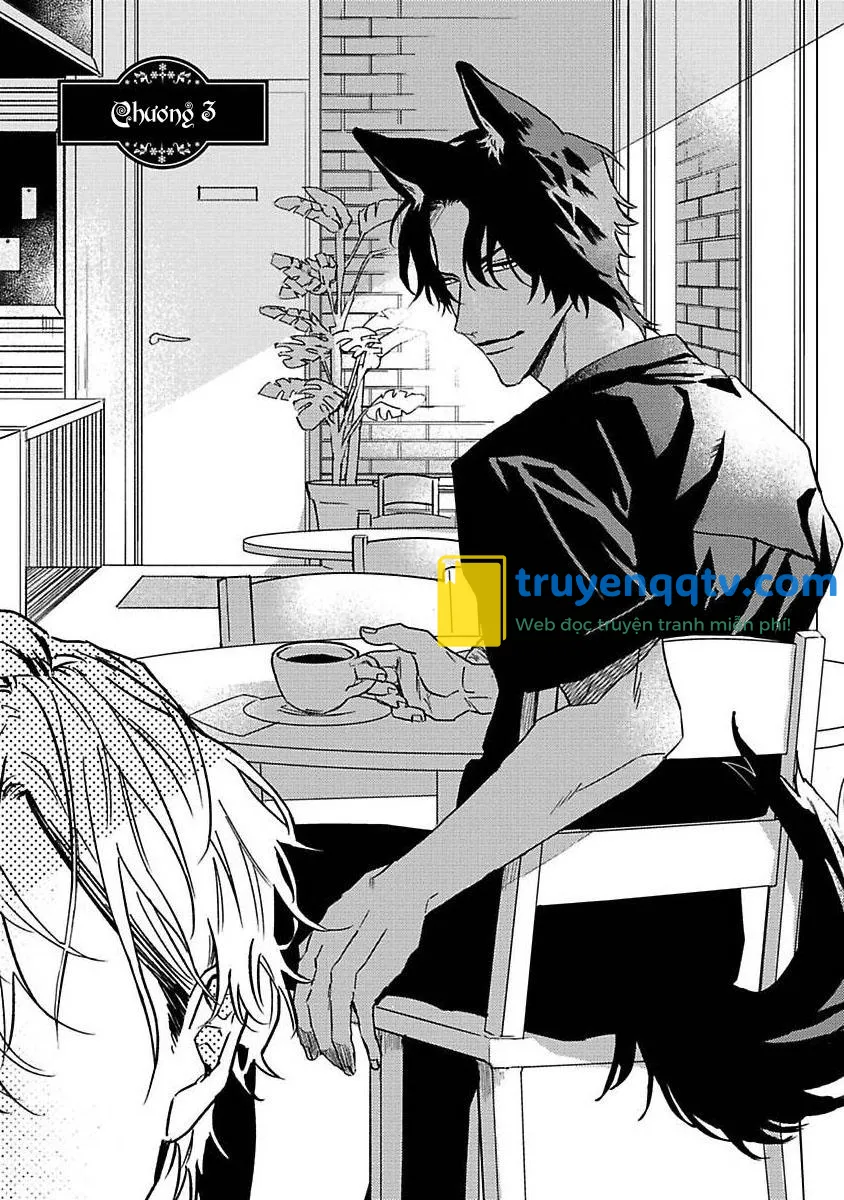 Chú Cá Ngừ Bonito Của Chàng Sói Chapter 3 - Next Chapter 4