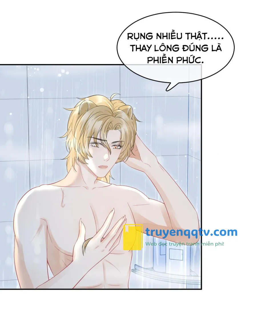 Một Ngụm Ăn Cả Thỏ Con Chapter 39 - Next Chapter 40