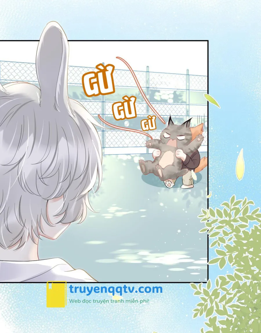 Một Ngụm Ăn Cả Thỏ Con Chapter 39 - Next Chapter 40