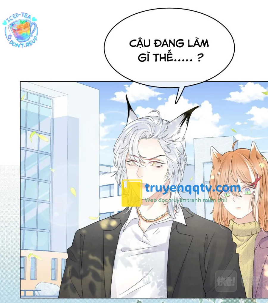 Một Ngụm Ăn Cả Thỏ Con Chapter 36 - Next Chapter 37