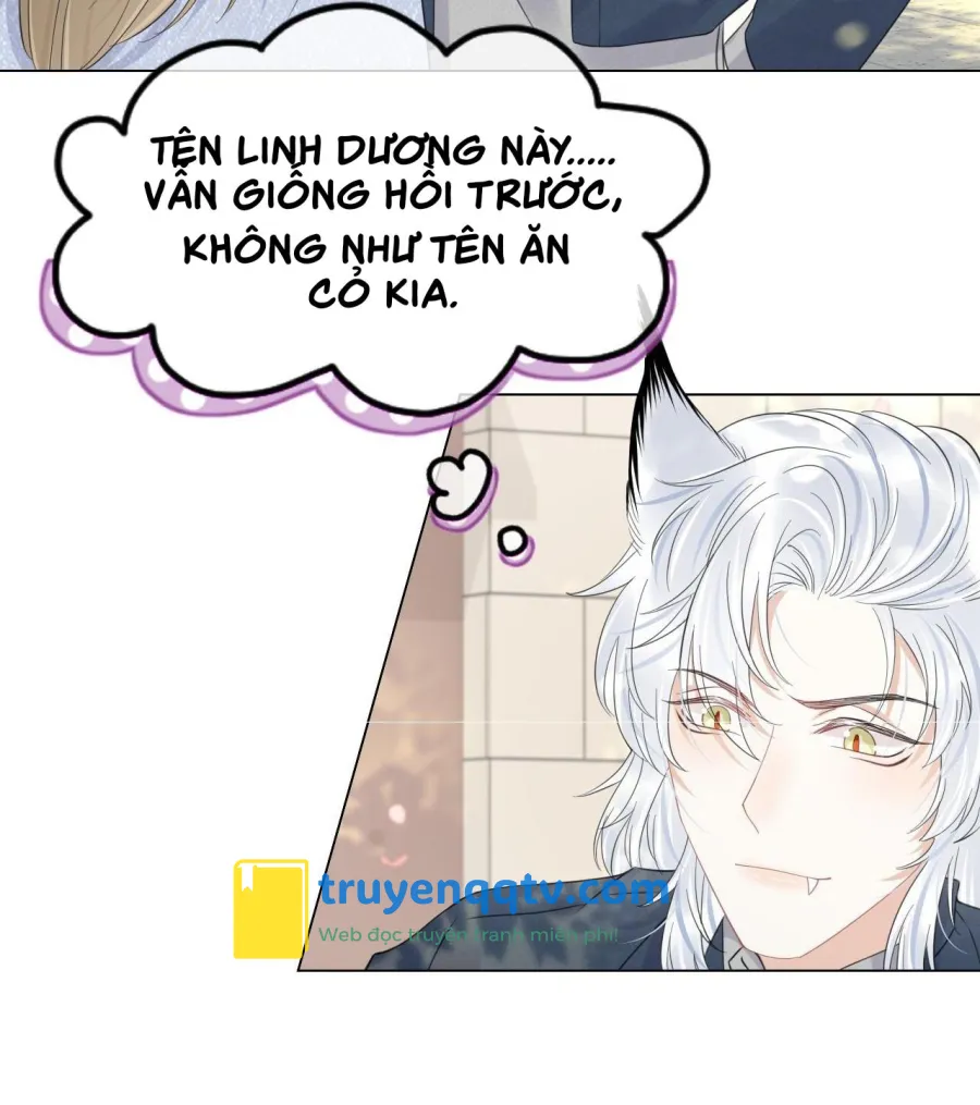 Một Ngụm Ăn Cả Thỏ Con Chapter 36 - Next Chapter 37