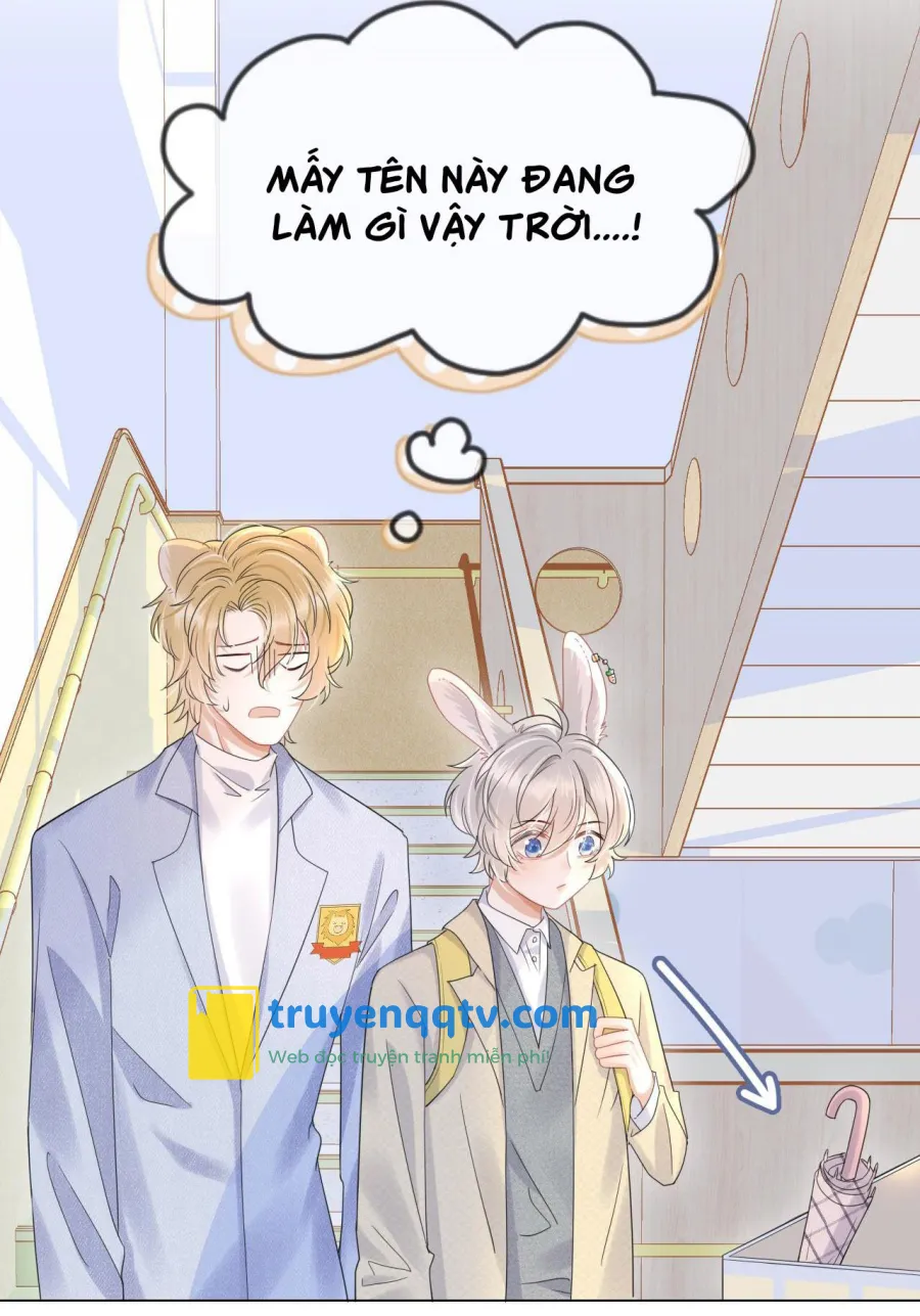 Một Ngụm Ăn Cả Thỏ Con Chapter 24 - Next Chapter 25