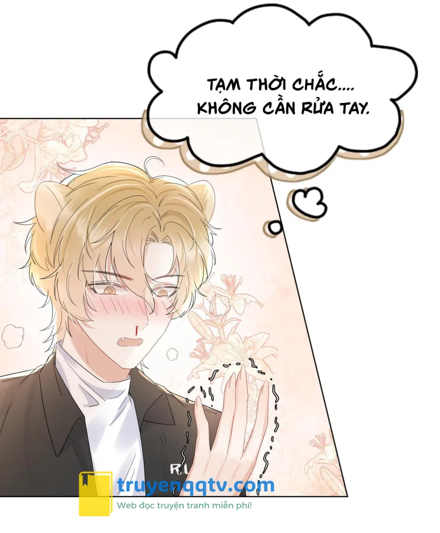 Một Ngụm Ăn Cả Thỏ Con Chapter 20 - Next Chapter 21