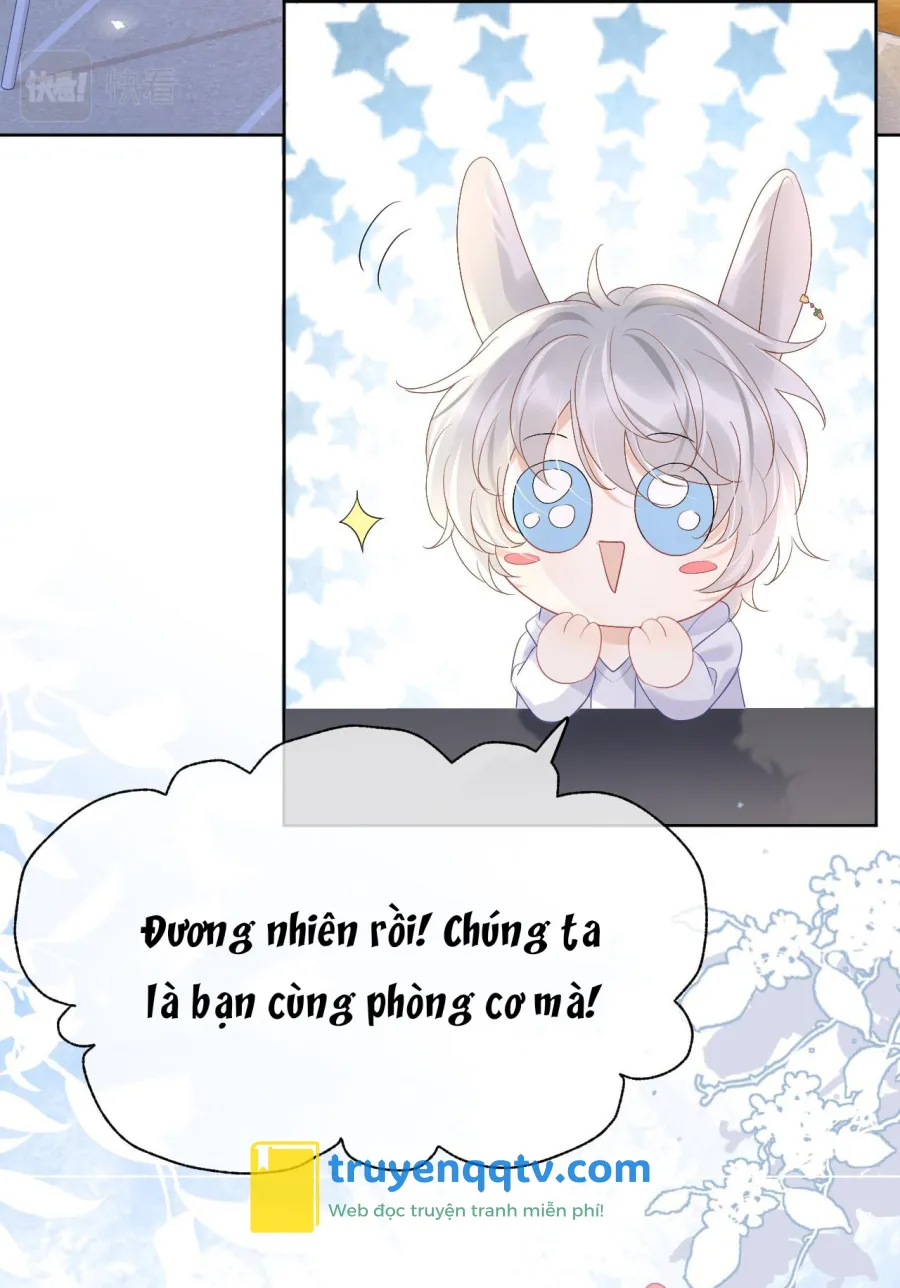 Một Ngụm Ăn Cả Thỏ Con Chapter 9 - Next Chapter 10