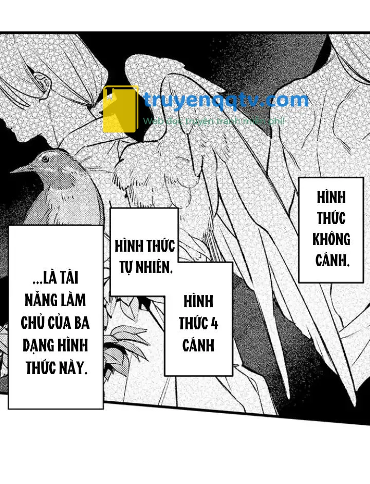 Nhìn vào đóa hoa của bình minh Chapter 2 - Next Chapter 3