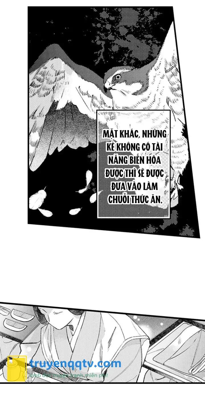 Nhìn vào đóa hoa của bình minh Chapter 2 - Next Chapter 3