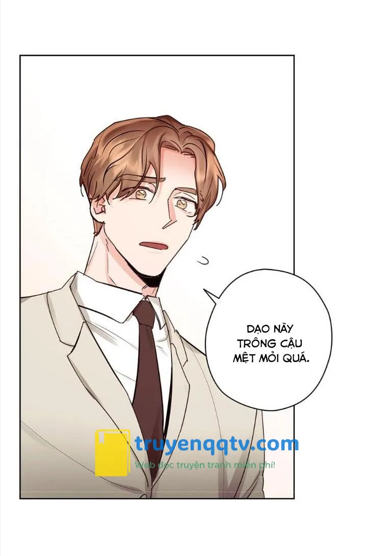 Kế hoạch đám cưới của Mr và Mr Chapter 21 - Next Chapter 22