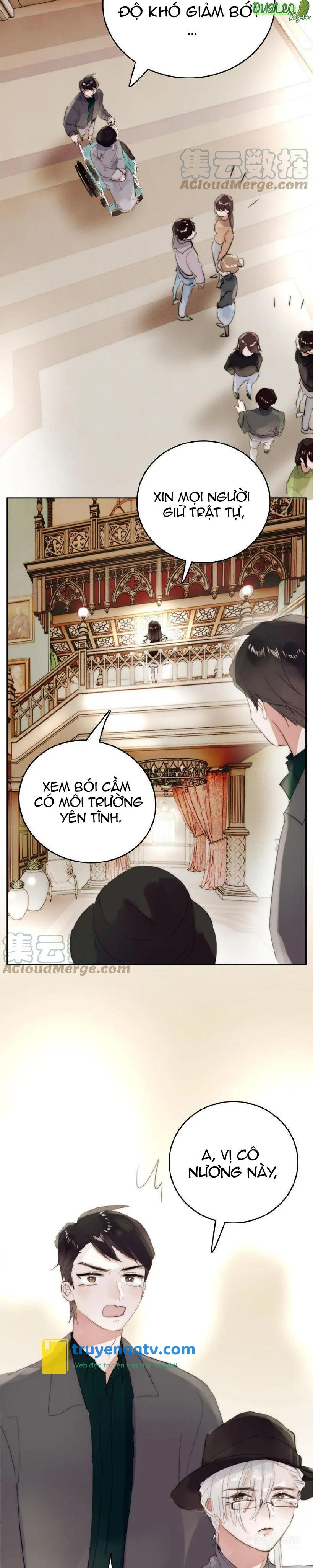 Ngủ Trong Cuốn Sách Của Anh Chapter 20 - Next Chapter 21