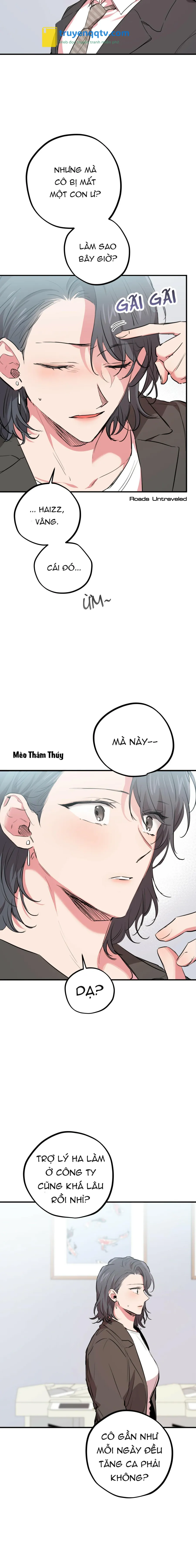 NHỮNG CHÚ THỎ CỦA HABIBI Chapter 20 - Next Chapter 21